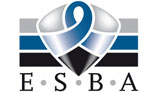 Großes Logo European Systemic Business Academy